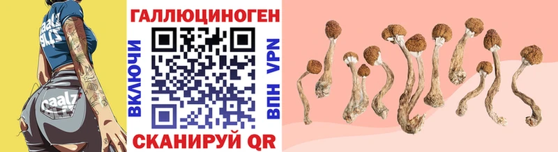 Галлюциногенные грибы Cubensis  Монино 